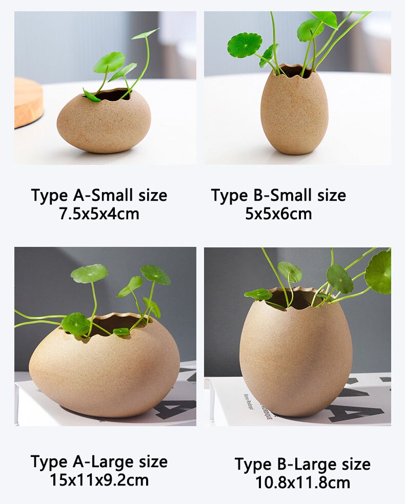 Egg Shell Bowl